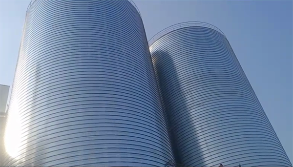 莱州2座混凝土高架卷板仓